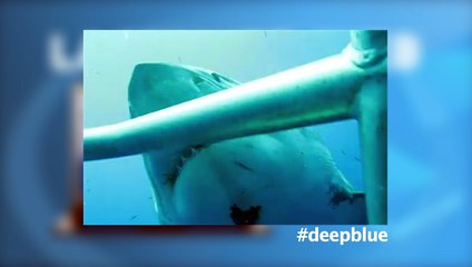 La minute web du 18 août 2015