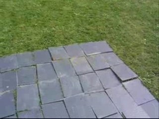 Freefight tournament in the world