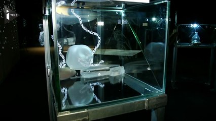 Exposition XYZT : Quand la science rencontre la technologie