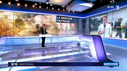 Crise du porc : les cotations reprennent, Bigard et la Cooperl sont toujours absents