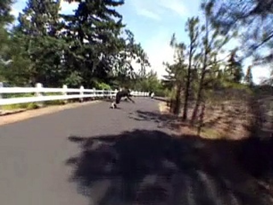 Skater Breaks Arm in High Speed Crash
