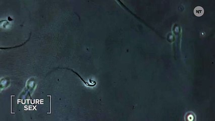 Male Birth Control Is Coming Soon To A Pharmacy Near You