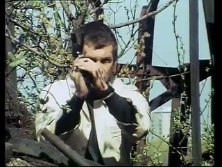 The Professionals - Bodie & Doyle against the world
