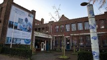Things to do in Delft – Tour the Royal Delft Factory and Museum