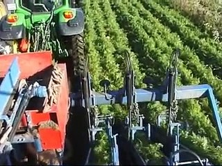 CARROT HARVESTER ASA-LIFT T-300 DF, 2008