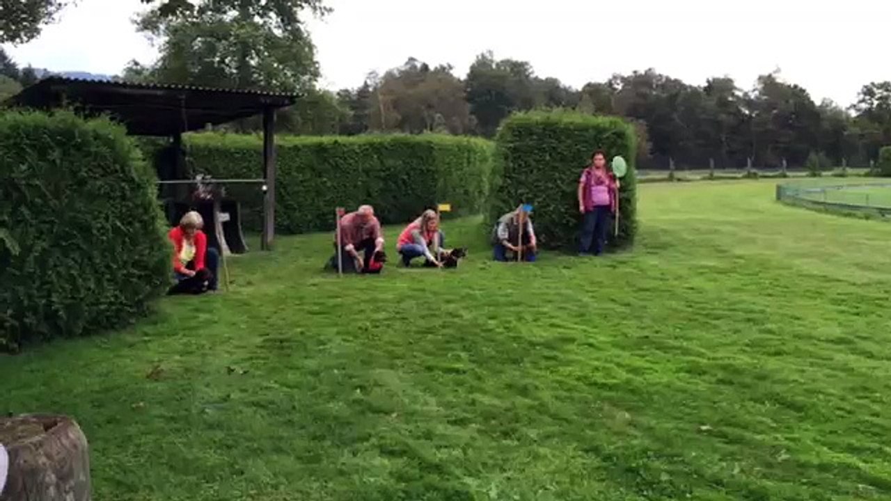 Dackelrennen Rifferswil 31. August 2014