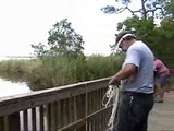 Capturing a Killer Alligator