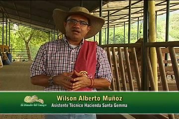 18 de agosto de 2015 Santa Gemma