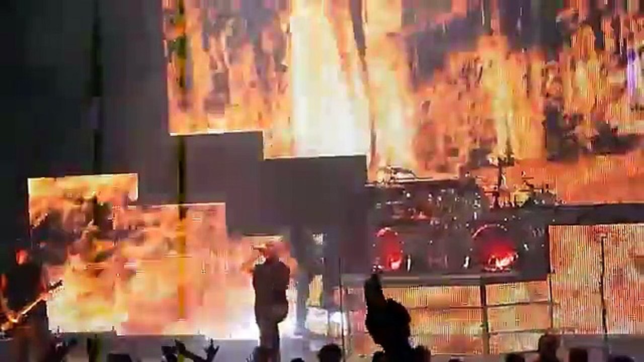 Disturbed - Animal