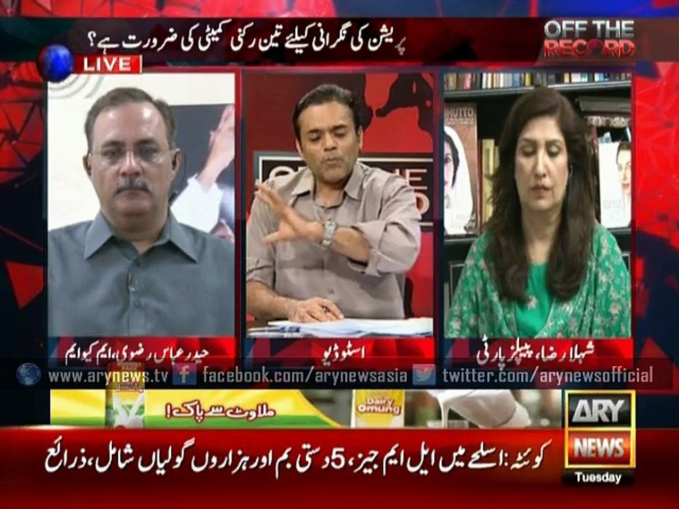 Rizvi calls for complete investigation of assassination attempt on Godil