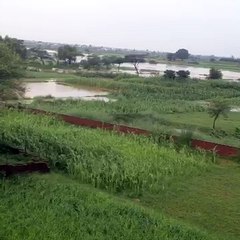 Sher Garh , mein Barish ,شیرگڑھ  میں  بارش