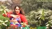 Meena Da Zra Ghwarm Lata Pashto New Sexy Dance Album Janana Gul Wareena 2015 Pashto Tang Takoor