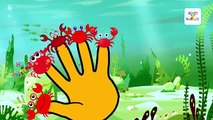 Cartoon Finger Family Animal Collection - Top 5 Animals Cartoons Finger Family Rhymes For children