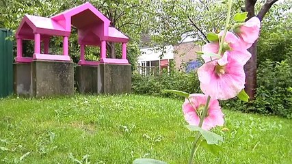 Jong en oud samen in het generatiehuis - RTV Noord