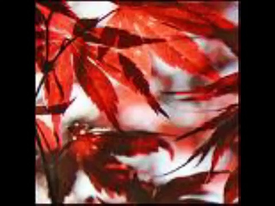 George Winston-Autumn-Longing Love