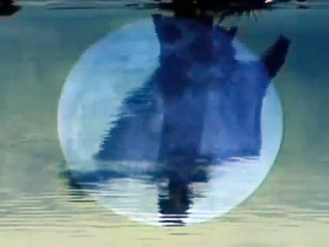 Ennio Morricone & Dulce Pontes - Your Love once upon a time in the west