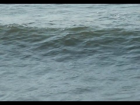 Vacances surf à Lacanau ? Surfer de grosses vagues ? Eté Plage en Gironde