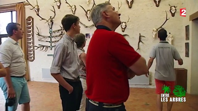 À la découverte du parc forestier de Chambord