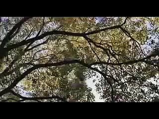 Wes Craven's New Nightmare trailer (1994)