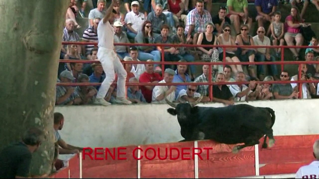 PALUDS DE NOVES 18 AOUT 2015 LA GALERE JAPPELOU FAUSTO