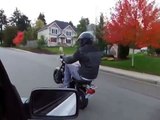 Yamaha chappy wheelie