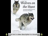 Wolves on the Hunt: The Behavior of Wolves Hunting Wild Prey PDF