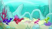 Dolphin Cartoon Animation Finger Family Nursery Rhyme | Daddy Finger Dolphin Plush Toy Rhymes