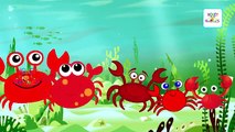 Finger Family Nursery Rhymes Collection | Candy Crab Dog Elephant Cartoon Animal Daddy Finger Songs
