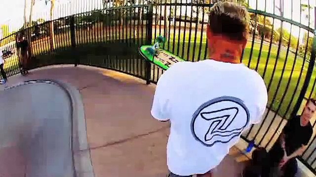 Punks Pools and Old Skool Shredders