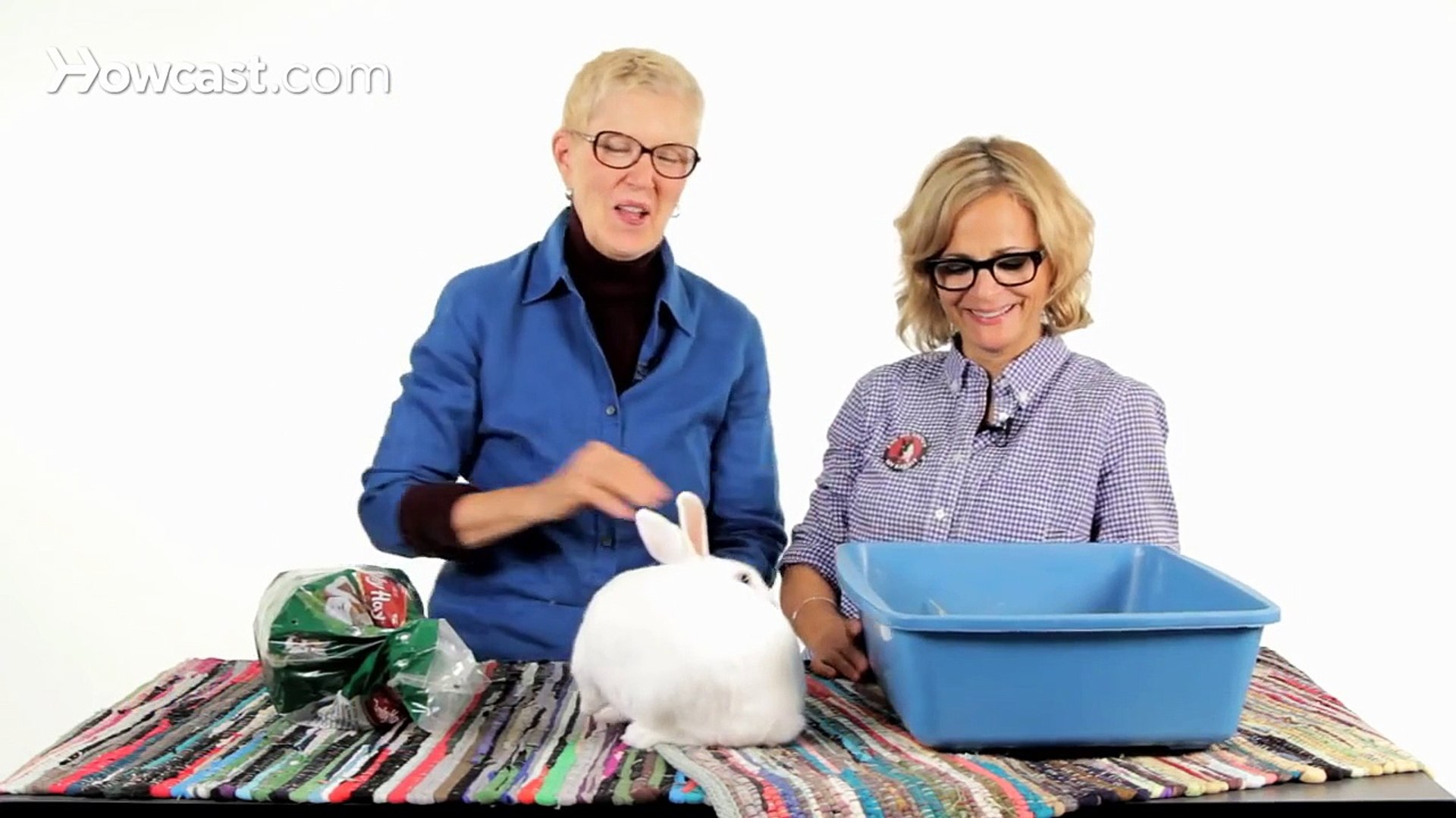 Can Rabbits Be Litter Trained? | Pet Rabbits