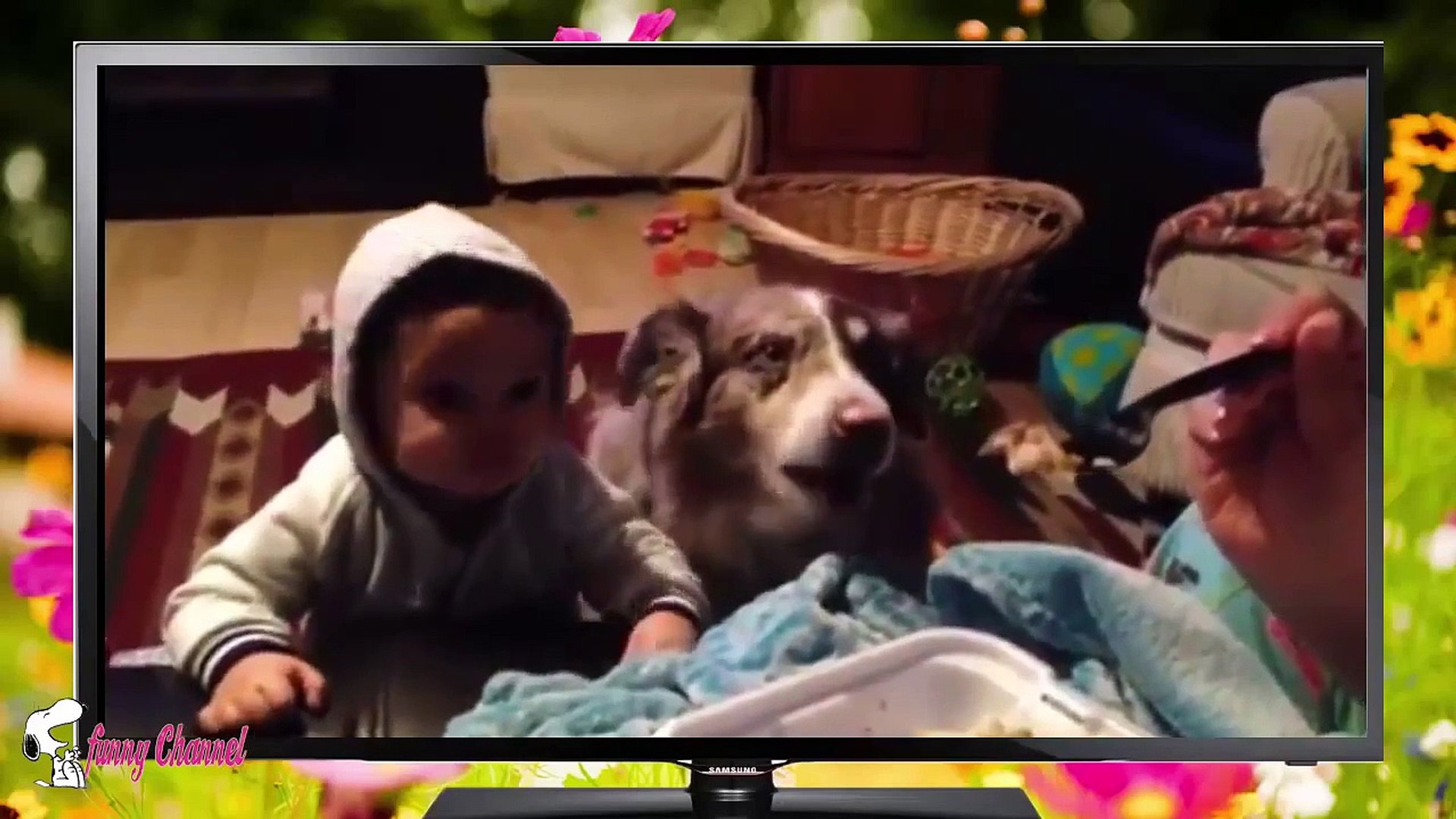 Best Funny Talking Dog Compilation 2015   Funny dog Videos