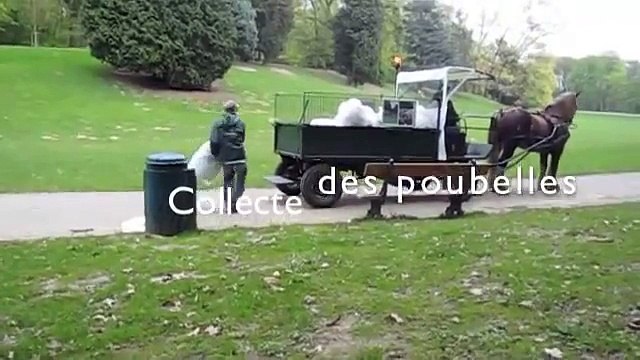 Cheval et Forêt - Le cheval de trait au travail à Bruxelles
