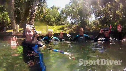 Drift Diving the Rainbow River in Dunnellon, Florida
