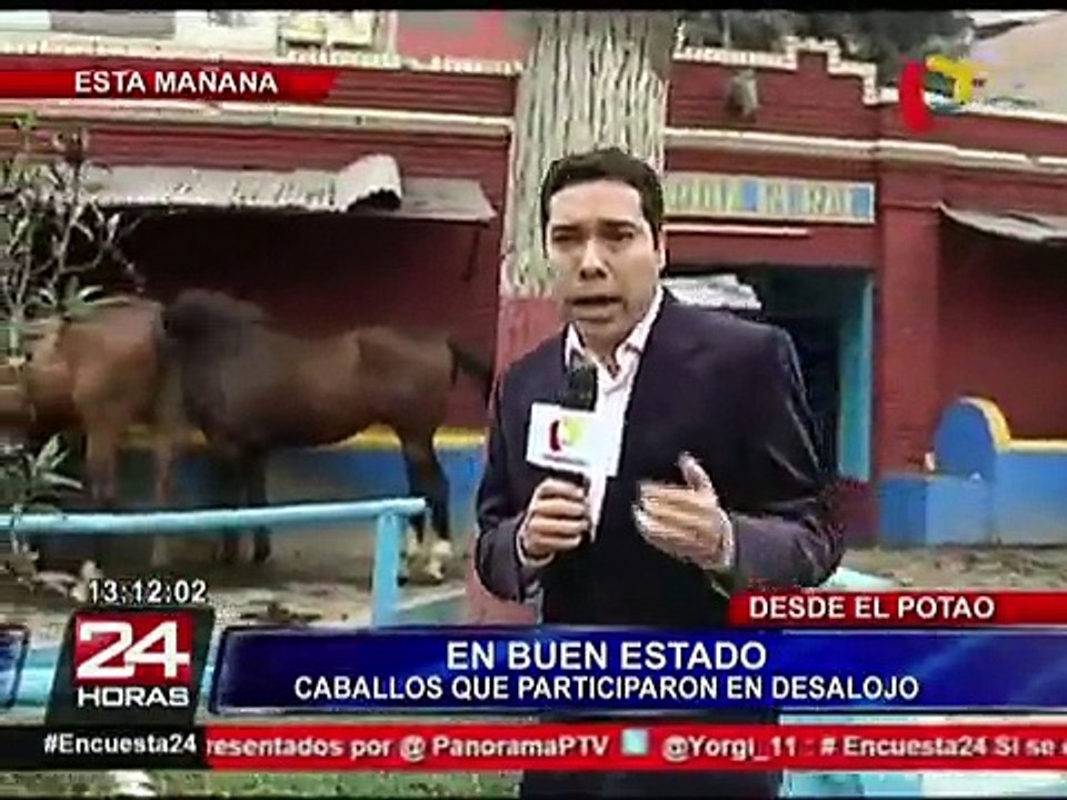 Desmienten que caballo vaya a ser sacrificado tras desalojo en El Agustino