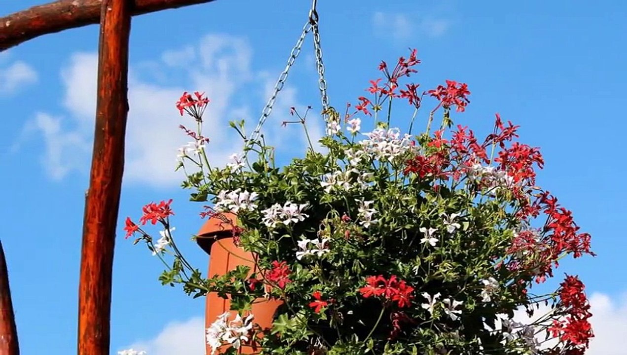 Ahmet Özhan - Bir gönül Vardı Bende Henüz aşkı Tatmamış