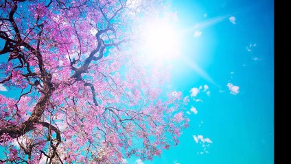 Alâeddin YAVAŞÇA-Yalansız Rüyasız Tatlı Dilleri