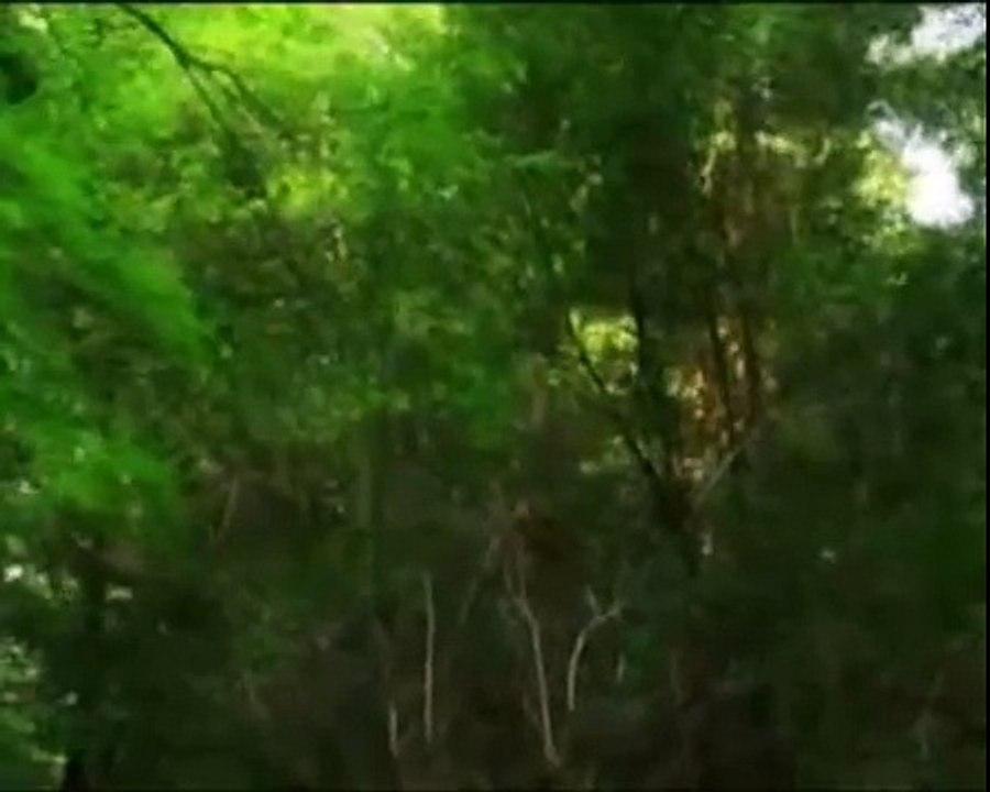 PAZ MENTAL. RELAJACIÓN. AUTOAYUDA.