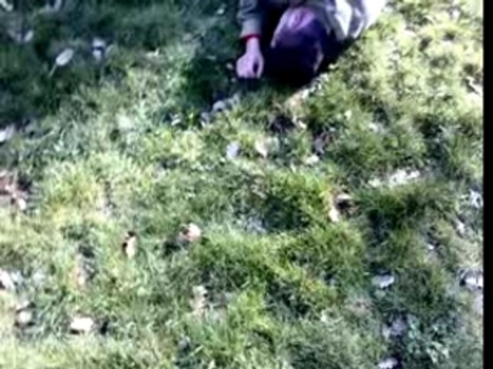 TN - Baston Vd's - samedi 10 mars 2007