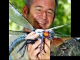 Animales e Insectos Raros
