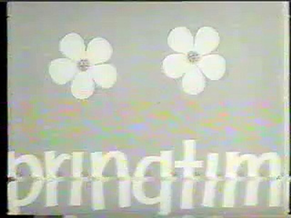 1960s Flash Advert - Spring Cleaning