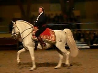 Mario Luraschi + chute