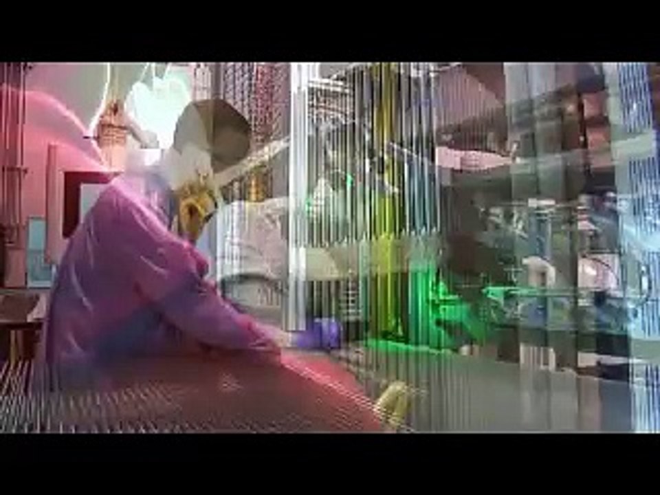 The Westinghouse Small Modular Reactor (SMR)