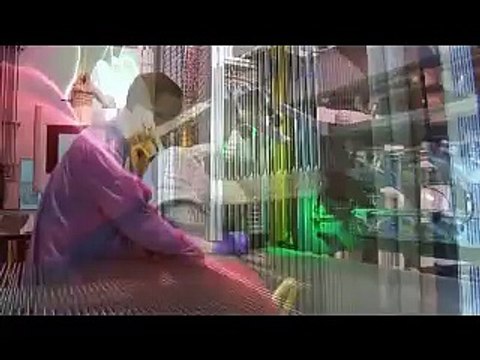 The Westinghouse Small Modular Reactor (SMR)