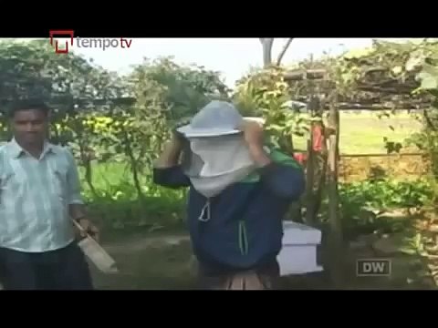 Asia Calling: Pejuang Mao di Nepal