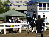 Lucy at Dressage at Lexington