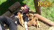 CIRCUS KRONE TV- MARTIN LACEY JR AND 5 BABY-LIONS
