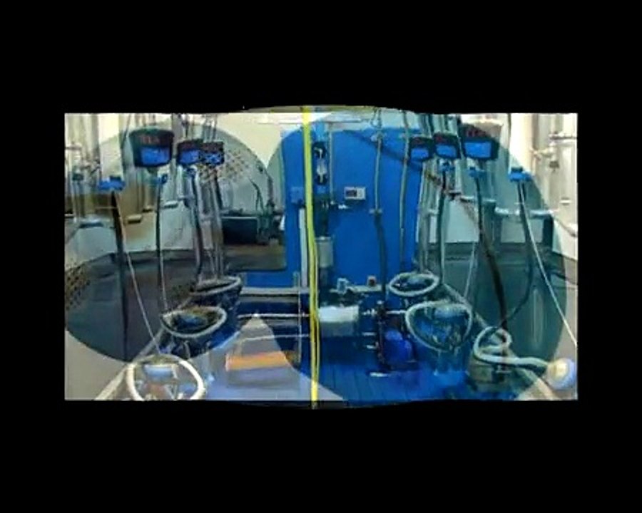 Milkline® milking parlours and components - Sal...