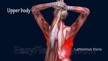 How To Lord of The Dance Pose, Natarajasana, Yoga Pose, Muscle Anatomy Routine EasyFlexibility
