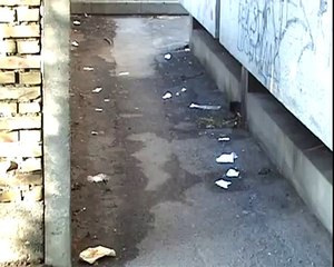 dani piva dani svinja zrenjanin