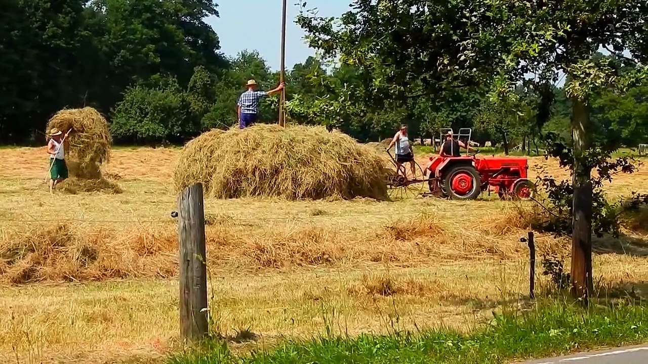 Heuernte 2015 ❤Burg Spreewald❤ McCormick D-326 ❤DDR-Landtechnik-Schleppharke❤Heuschober❤ Hay Harvest